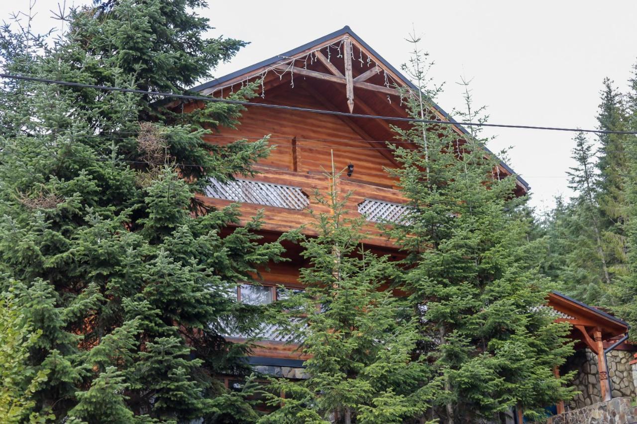 Forest House ミホヴォ エクステリア 写真